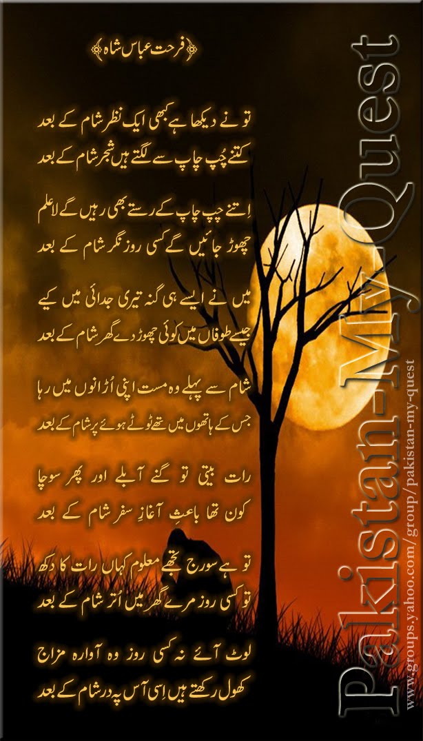 Sham k baad by farhat abbas shah pdf