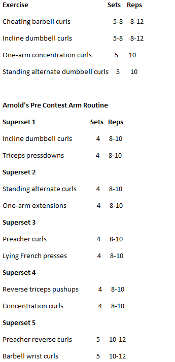 Arnold schwarzenegger workout routine for beginners pdf