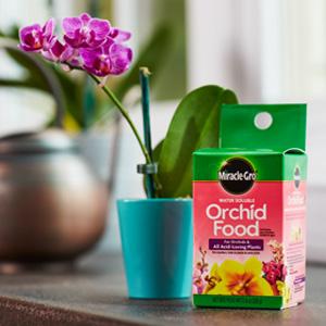 miracle gro orchid food instructions